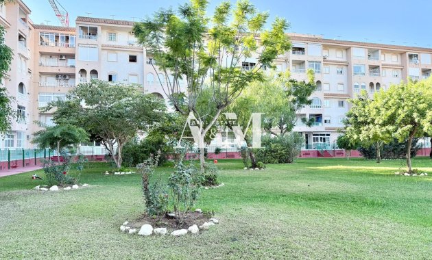 Alquiler a largo plazo - Apartamento / piso - Torrevieja - Centro