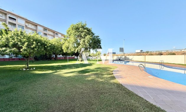 Alquiler a largo plazo - Apartamento / piso - Torrevieja - Centro