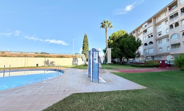 Alquiler a largo plazo - Apartamento / piso - Torrevieja - Centro