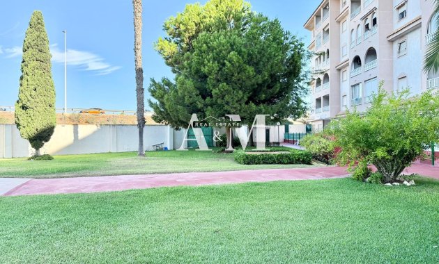 Alquiler a largo plazo - Apartamento / piso - Torrevieja - Centro