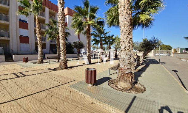Long Term Rental - Apartment / flat - Orihuela Costa - Cabo roig - La Zenia
