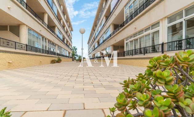 Location à long terme - Appartement - Orihuela Costa - Playa Flamenca