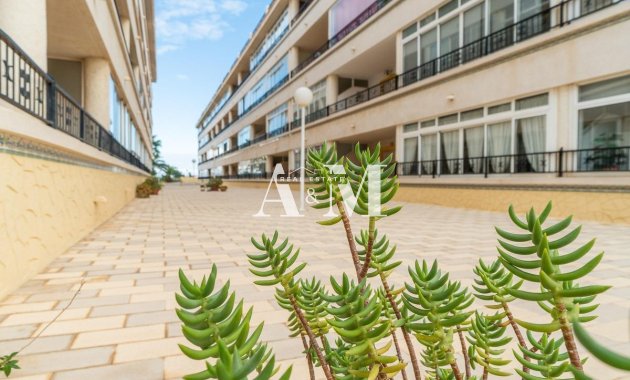 Location à long terme - Appartement - Orihuela Costa - Playa Flamenca
