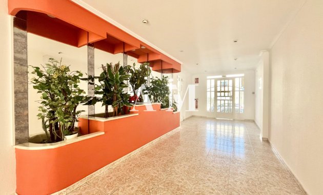 Long Term Rental - Apartment / flat - Torrevieja - El Acequión - Los Náufragos