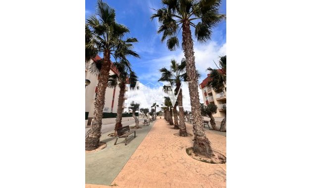 New Build - ground-floor - Orihuela