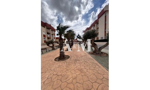 Obra nueva - Ático - Orihuela