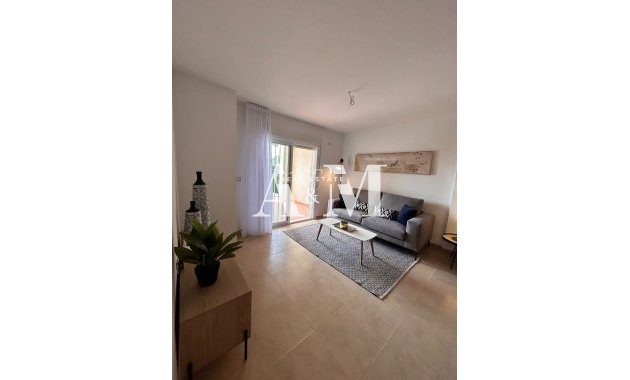 Obra nueva - Ático - Orihuela