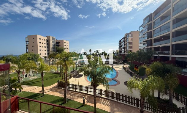 Alquiler a largo plazo - Apartamento / piso - Torre de la Horadada - Mil Palmeras