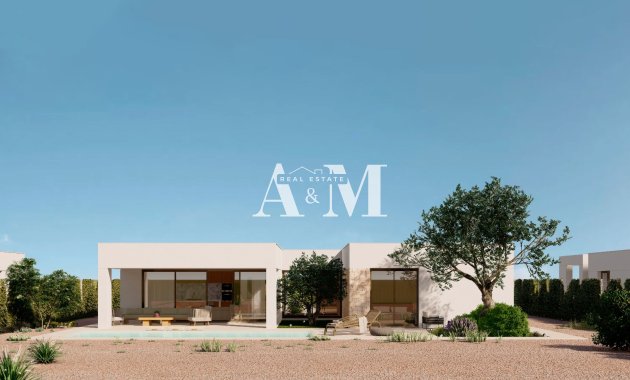 Obra nueva - detached - Fuente Alamo