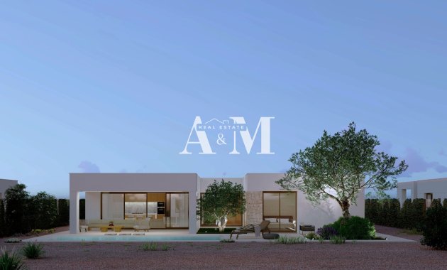 Obra nueva - detached - Fuente Alamo