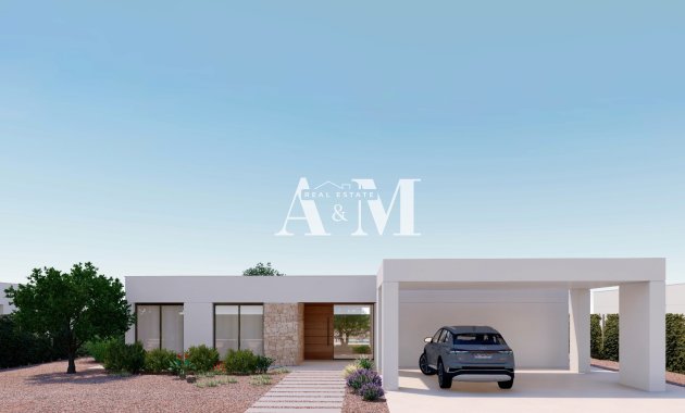 Obra nueva - detached - Fuente Alamo