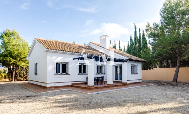 Nouvelle construction - detached - Fuente Alamo