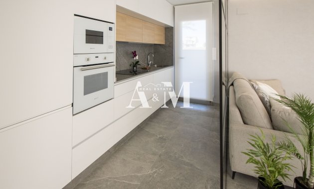 Новое здание - detached - Pilar de la Horadada