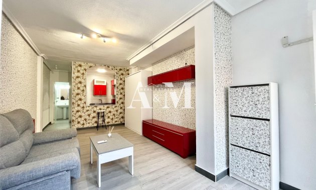 Alquiler a largo plazo - Estudio - Torrevieja