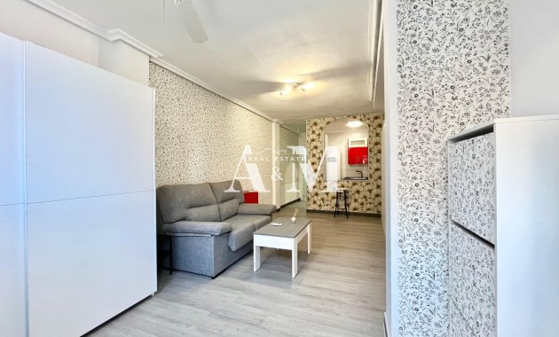 Alquiler a largo plazo - Estudio - Torrevieja