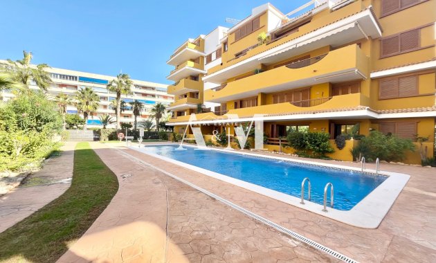 Long Term Rental - Apartment / flat - Orihuela Costa - Punta Prima