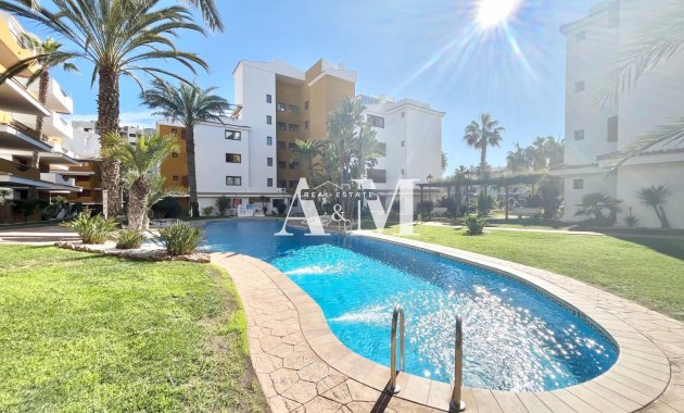 Long Term Rental - Apartment / flat - Orihuela Costa - Punta Prima