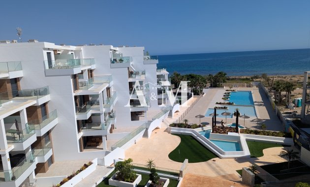 Obra nueva - apartment - Denia - Dénia