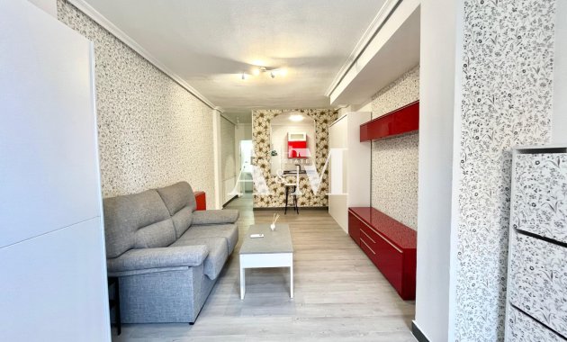 Reventa - Estudio - Torrevieja