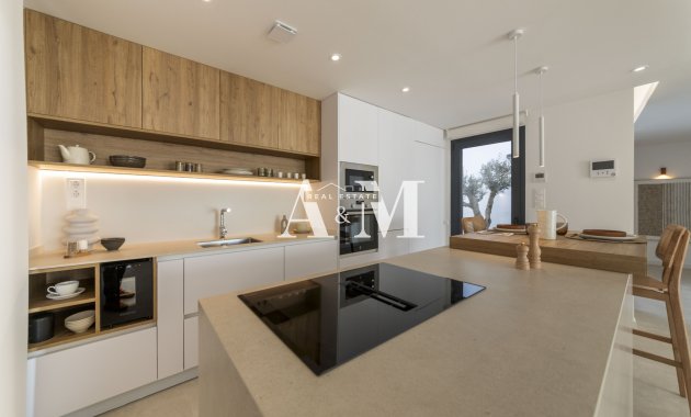 Obra nueva - detached - Murcia