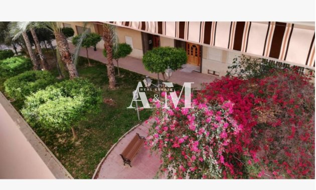 Alquiler a largo plazo - Apartamento / piso - Guardamar del Segura