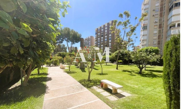 Alquiler a largo plazo - Apartamento / piso - Dehesa de Campoamor
