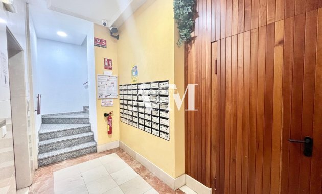 Alquiler a largo plazo - Apartamento / piso - Torrevieja