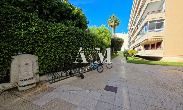 Alquiler a largo plazo - Apartamento / piso - Torrevieja - Playa de los Locos
