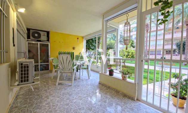 Alquiler a largo plazo - Apartamento / piso - Torrevieja - Playa de los Locos