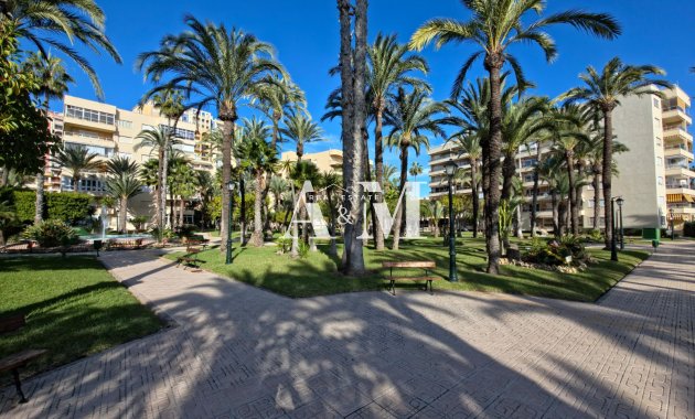 Alquiler a largo plazo - Apartamento / piso - Torrevieja - Playa de los Locos