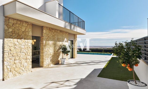 Nouvelle construction - detached - San Miguel de Salinas