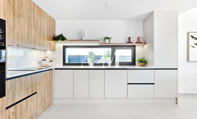 Nouvelle construction - detached - San Miguel de Salinas