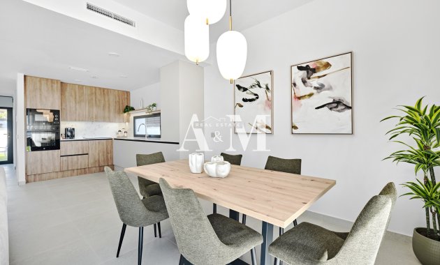 Nouvelle construction - detached - San Miguel de Salinas