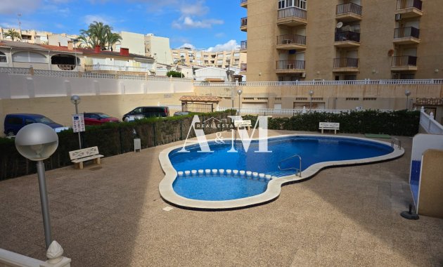 Long Term Rental - Apartment / flat - Torrevieja - Nueva Torrevieja - Aguas Nuevas
