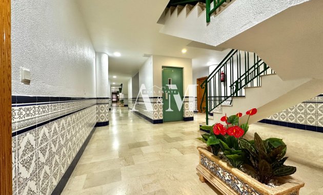 Alquiler a largo plazo - Apartamento / piso - Guardamar del Segura - Guardamar Playa