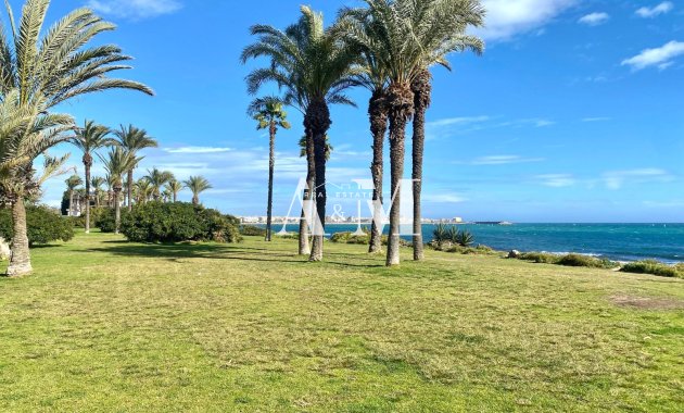 Long Term Rental - Apartment / flat - Torrevieja - La Veleta