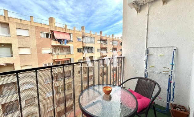 Long Term Rental - Study - Torrevieja - Playa de los Locos