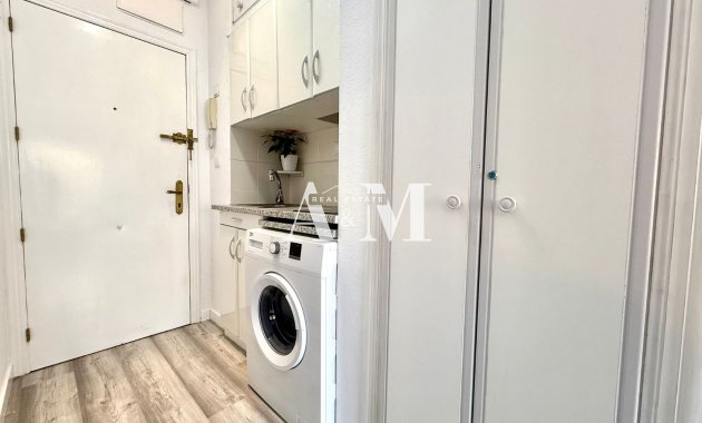 Long Term Rental - Study - Torrevieja - Playa de los Locos