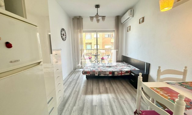 Long Term Rental - Study - Torrevieja - Playa de los Locos