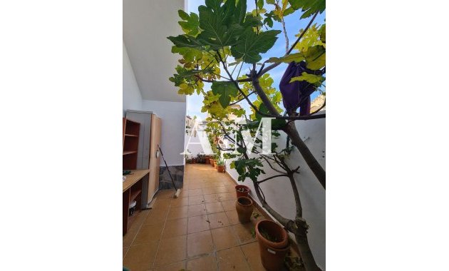 Long Term Rental - Bungalow - Torrevieja - Los Balcones - Los Altos del Edén