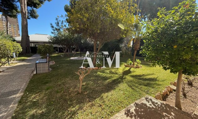 Long Term Rental - Apartment / flat - Dehesa de Campoamor