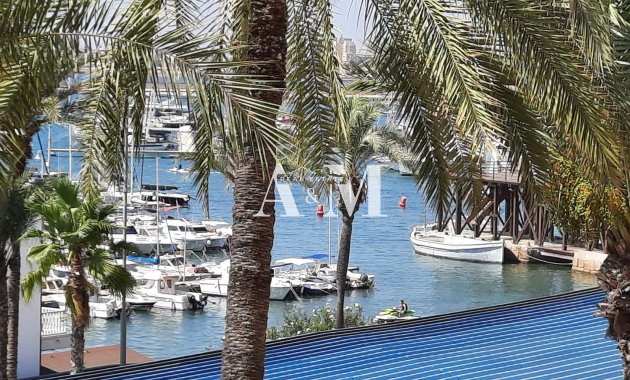 Long Term Rental - Apartment / flat - Torrevieja - Centro
