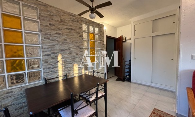 Long Term Rental - Study - Torrevieja - Centro
