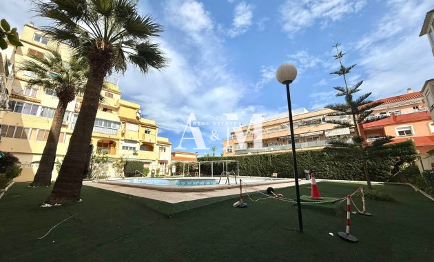 Long Term Rental - Apartment / flat - Torrevieja - Nueva Torrevieja - Aguas Nuevas