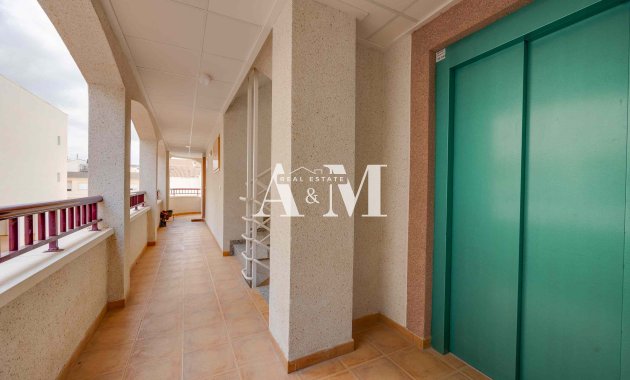 Obra nueva - apartment - San Fulgencio