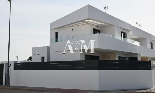 Obra nueva - detached - Dolores