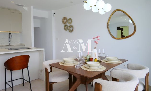 Obra nueva - detached - Dolores