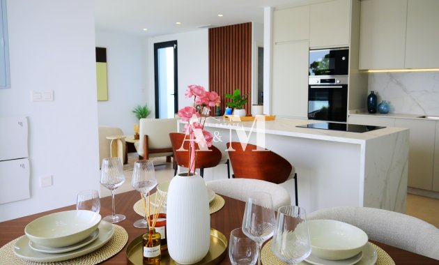 Obra nueva - detached - Dolores