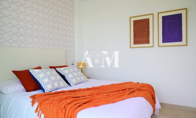 Obra nueva - detached - Dolores