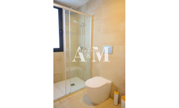 Obra nueva - detached - Dolores